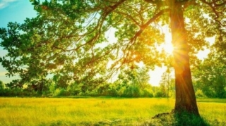 Прогноз погоды в Азербайджане на 28.08.2025 