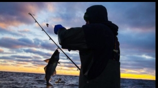 Balıq ovlamaq qadağası bitdi?  - VİDEO