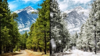 “Bahar gəlir, yoxsa qış geri qayıdır?” - İQLİMŞÜNASDAN MARAQLI CAVAB 