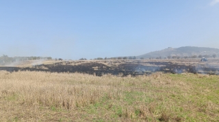 Şamaxıda yanğın törədən şəxs məsuliyyətə cəlb olundu - FOTO