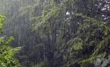 Güclü yağış piyada körpüsünü dağıtdı - VİDEO
