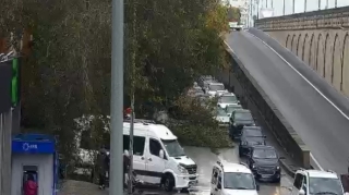 Bu prospektdə  ağac yola aşıb: TIXAC VAR - FOTO 