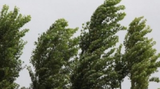 Sabah Bakıda güclü külək əsəcək 