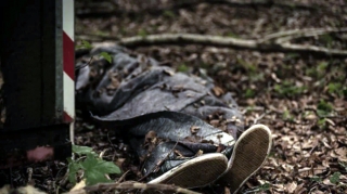 Ağcabədidə meşədə çobanın meyiti tapılıb 