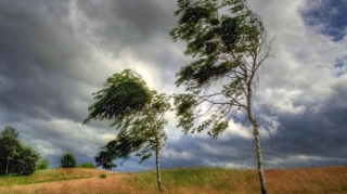 Küləkli hava şəraiti ilə bağlı xəbərdarlıq verildi - YENİLƏNİB