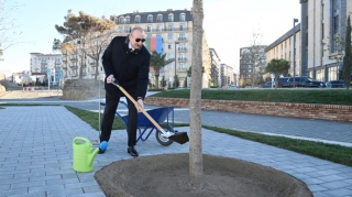 Parkdakı ilk palıdı Prezident əkdi - FOTO - VİDEO 