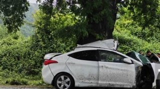 Qaxda avtomobil ağaca çırpıldı - Sürücü öldü 