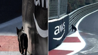 Bakıda "Formula 1" sürücüsü yarış zamanı PİŞİYİ BELƏ XİLAS ETDİ - VİDEO 