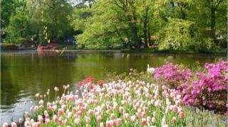 Sabahın hava proqnozu açıqlandı