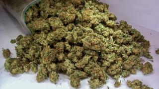 Sabirabad sakinlərindən 10 kiloqram qurudulmuş marixuana götürülüb