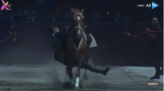 Cıdırdan Gəncəyə atlarla... - VİDEO