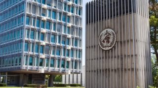 ÜST ölkələrarası səfərlərə qoyulan məhdudiyyətlərin ləğvinə çağırıb