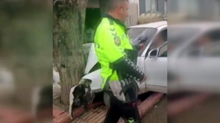 Yeniyetmə “Hyundai”ı ağaca çırpdı; xilasedicilər maşından çıxardı, polis cərimələdi - VİDEO 