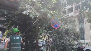 Təsərrüfat Birliyi:  Yol hərəkət nişanlarının görünməsinə mane olan ağaclar budanır - FOTO