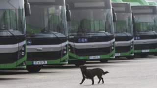 Bu ölkədə koronavirusla bağlı qəbul edilmiş məhdudiyyət aradan qaldırılır  