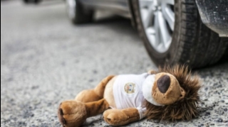 Sabirabadda 6 yaşlı uşağı maşın vurdu