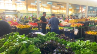 Bazarda bəzi məhsulların qiyməti azaldı: Ucuzlaşma davamlı olacaq? - VİDEO