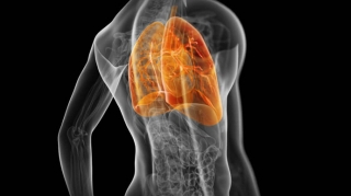 Koronavirusdan sonra ağciyərləri necə sağaltmaq olar? 