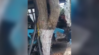 Bakıda marşrut avtobusu ağaca çırpıldı, 11 nəfər yaralandı - VİDEO