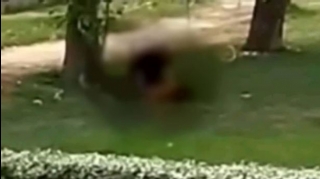 Qış parkında qadın və kişinin intim görüntüləri yayıldı - DİN-dən AÇIQLAMA - VİDEO 