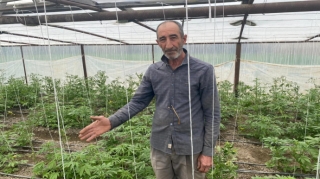 İstixanada narkotik tərkibli bitkilər yetişdirən şəxs saxlanılıb   - FOTO