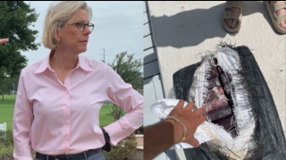 Amerikada şəhər meri balıq ovuna çıxdı, milyon dollar dəyərində kokain “tutdu”   - FOTO