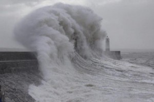 Tropik fırtınabaş verdi - 151 reys ləğv edilib, 122 park bağlanıb