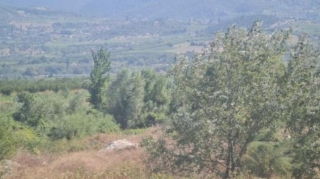 Türkiyədə təlim təyyarəsi qəzaya uğrayıb