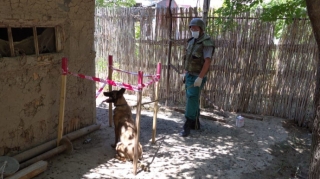 Füzulidə evin həyətində mərmi tapılıb - FOTO 