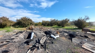 Oğuzda qanunsuz kömür quyuları aşkarlandı - FOTO 
