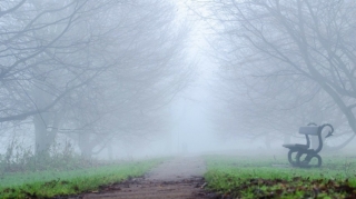 Umayra Tağıyeva:  "Dumanlı hava şəraiti fevralın 26-sı səhərədək davam edəcək"