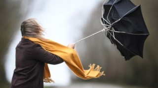 Küləkli hava şəraiti ilə bağlı sarı xəbərdarlıq verildi 