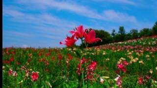 Martda hava necə olacaq? - PROQNOZ 