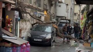 Yasamalda qurumuş ağac avtomobilin üzərinə aşdı   - VİDEO