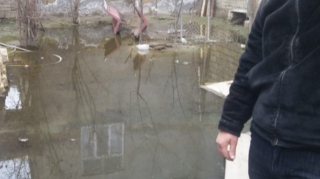 Bakıda minlərlə insanın həyatı TƏHLÜKƏDƏ - Nə baş verir?  