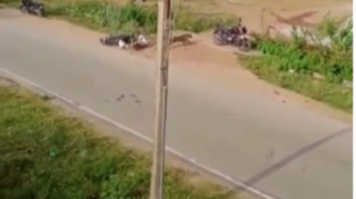 Leopard motosikletçiyə hücum etdi: ölümdən döndü  - VİDEO