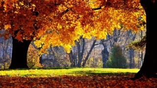 Yeni tədris ilinin ilk günü üçün hava proqnozu açıqlanıb