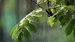 Sabahın havası: Güclü külək, leysan, dolu