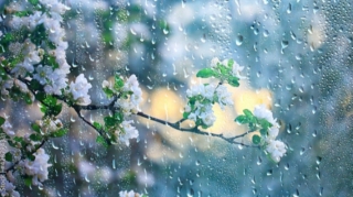 Azərbaycanda hava şəraiti kəskin pisləşəcək - XƏBƏRDARLIQ 