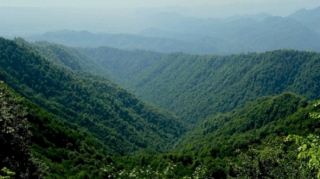 Hirkan Milli Parkının direktorunun saxlanılması ilə bağlı ETSN-dən açıqlama  - YENİLƏNİB - FOTO