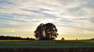 Sabahın hava proqnozu açıqlanıb 