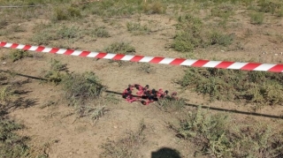 Amerikalı ekspert: “Ermənistanın beynəlxalq hüquqla məzələnməsinə icazə verilməməlidir” 