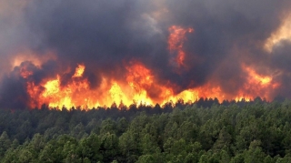 İsmayıllıda baş verən yanğın meşə sahəsinə keçib