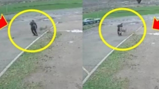 Canavar yanacaqdoldurmaya gələn erməniyə belə hücum etdi - VİDEO 