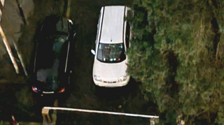 Sürücülərin çoxu empatiya qurmağı bacarmır - MÜTƏXƏSSİS - VİDEO 