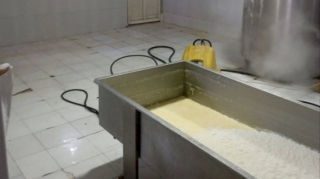 Pendir sexində nöqsanlar aşkarlanıb - FOTO 