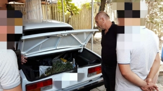 Zaqatalada keçmiş məhkumdan 4 kiloqram marixuana götürülüb  - FOTO