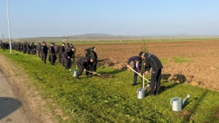 Polis əməkdaşları Cəlilabadda ağacəkmə kampaniyası keçiriblər 
