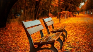 Sabah hava necə olacaq? 