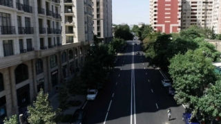 Bu küçədə bina tikintisi üçün yaşıllıq ərazi məhv edilir 